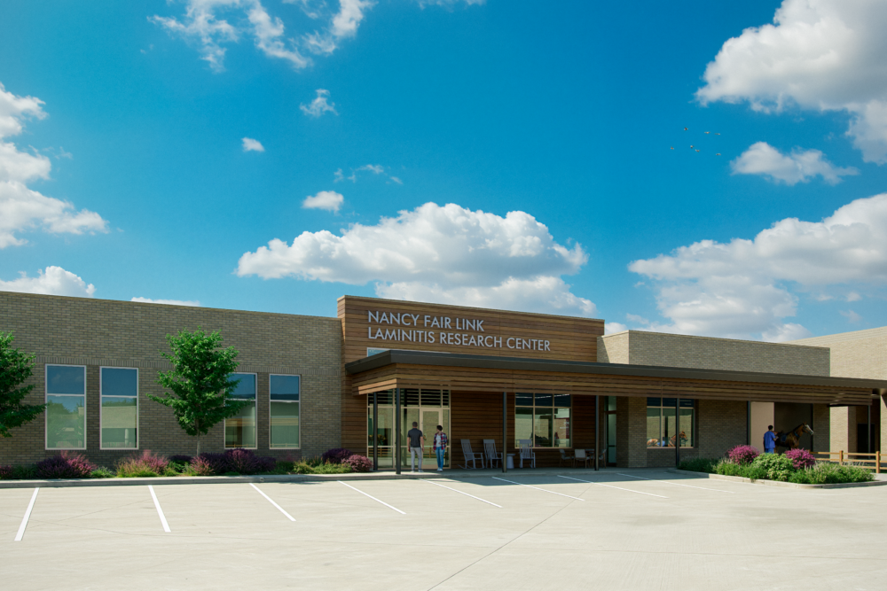 Wise Center_04