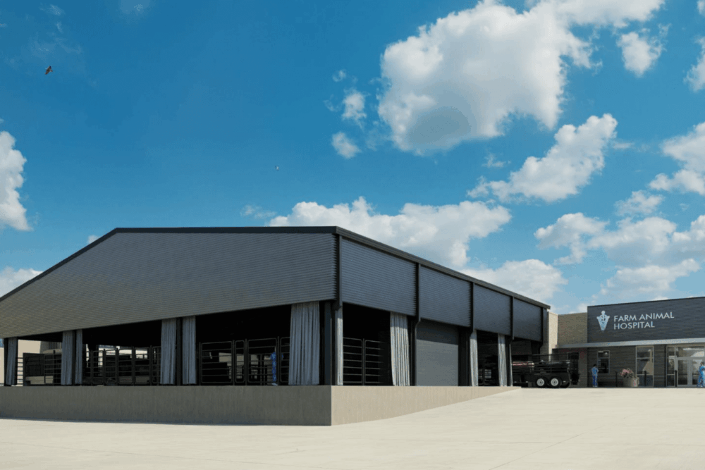 Farm Animal Hospital Overall.jpg